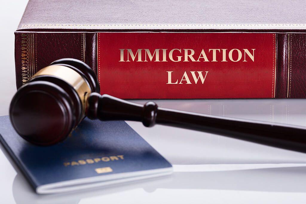 Citizenship & Naturalization